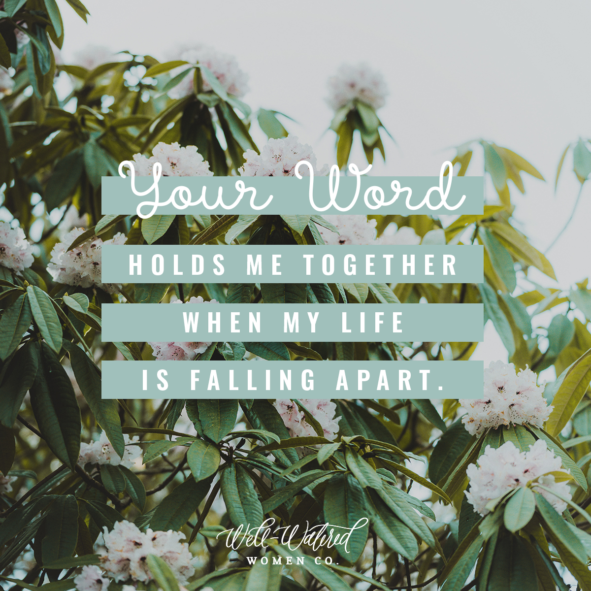 Well-Watered Women Blog-Your Word Holds Me Together When My Life is Falling Apart