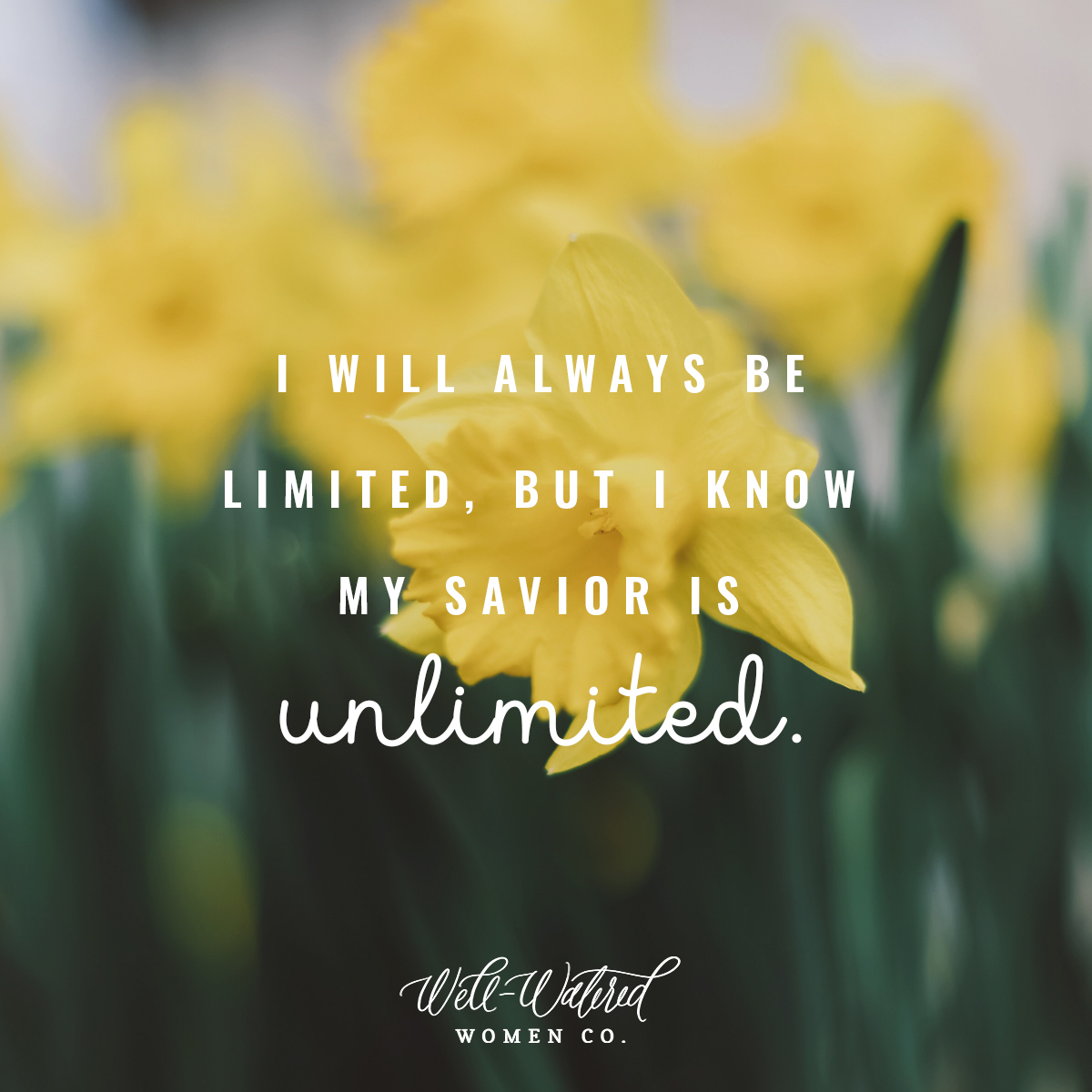 Well-Watered Women Blog-My Savior is Unlimited