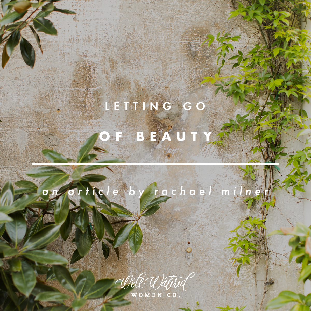 Letting Go of Beauty | Well-Watered Women Articles