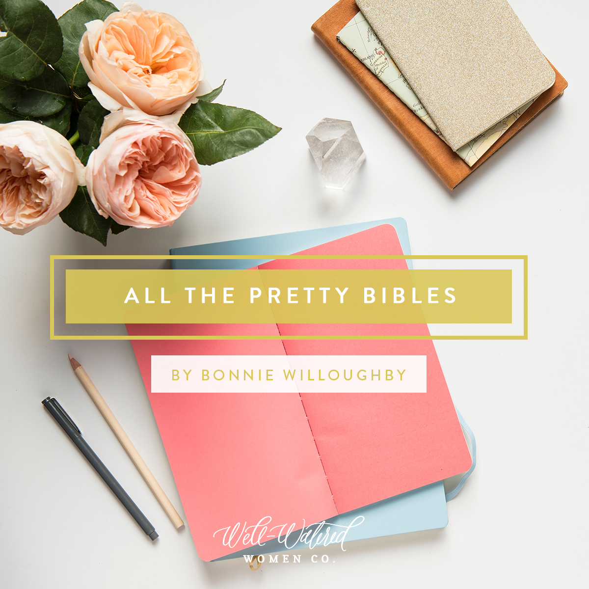 The Pretty Bible: They don't say anything different. And if you don't make time for the one you have at home, you won't make time for one of these. No matter how pretty it is.