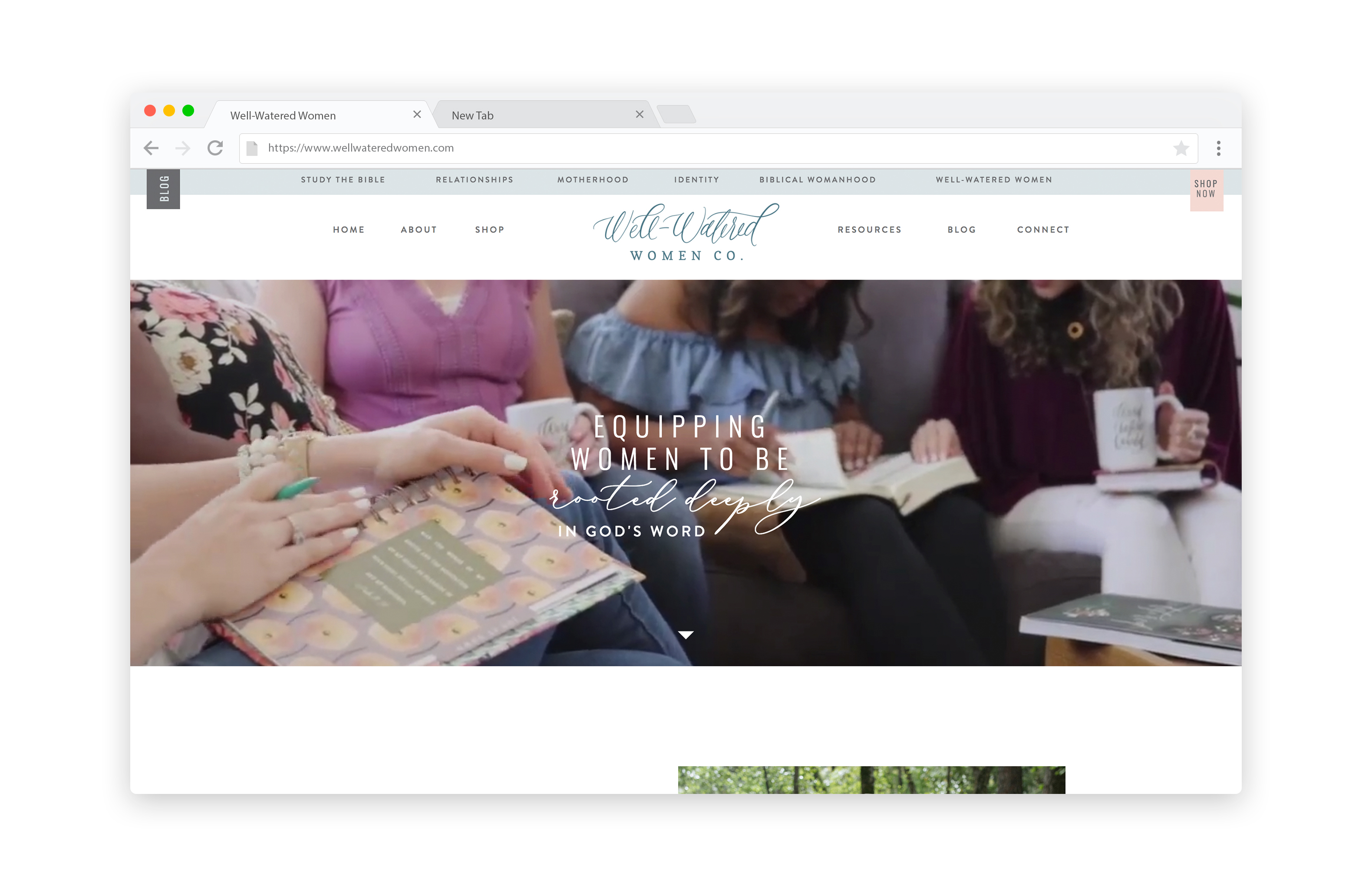 Well-Watered Women Website Design by Speak Social Agency