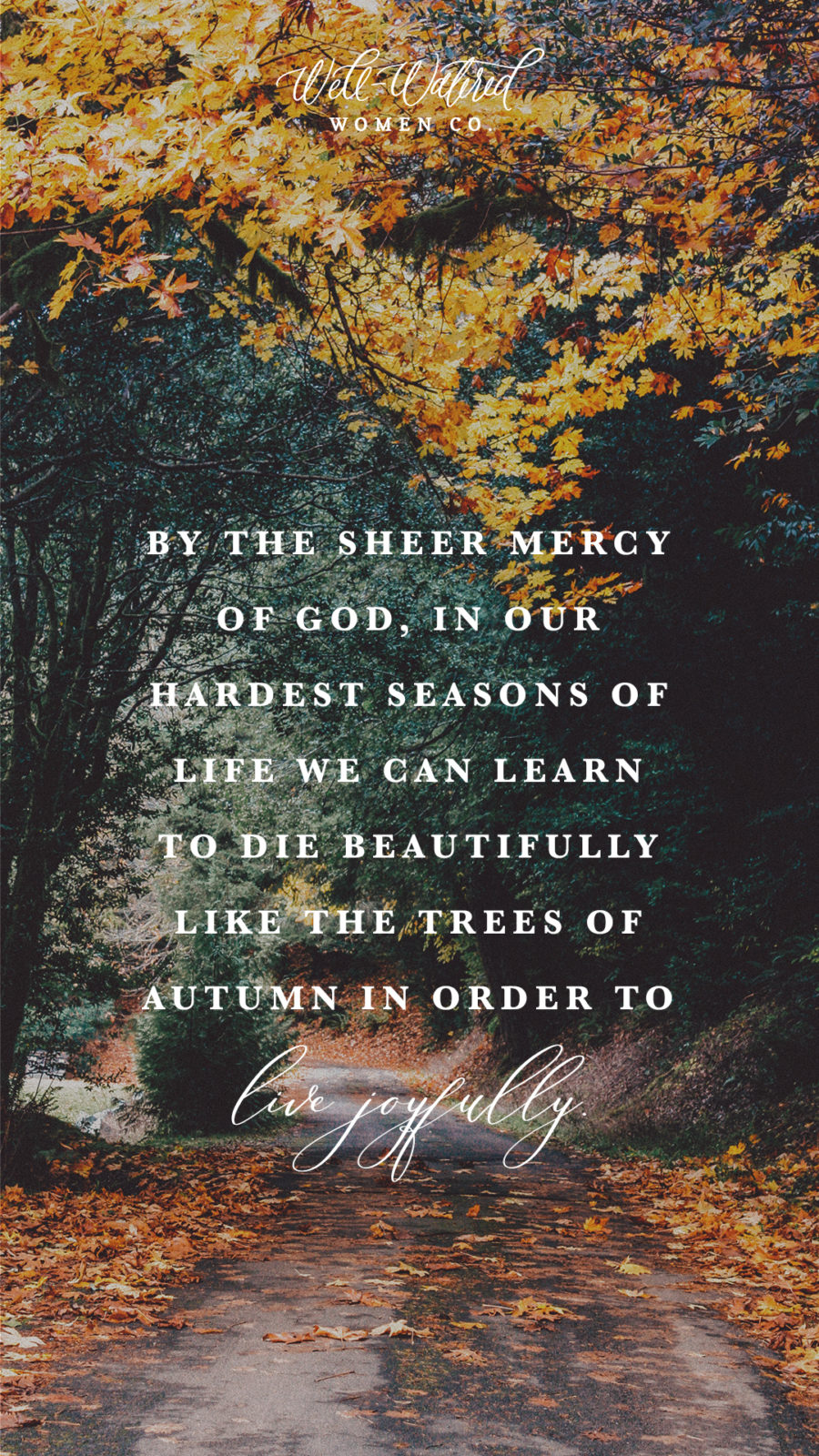 Dying Beautifully & Living Joyfully - Learning from Autumn & Yielding ...