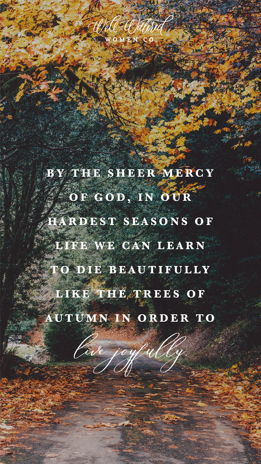 By the sheer mercy of God, in our hardest seasons of life we can learn to die beautifully like the trees of autumn in order to live joyfully.