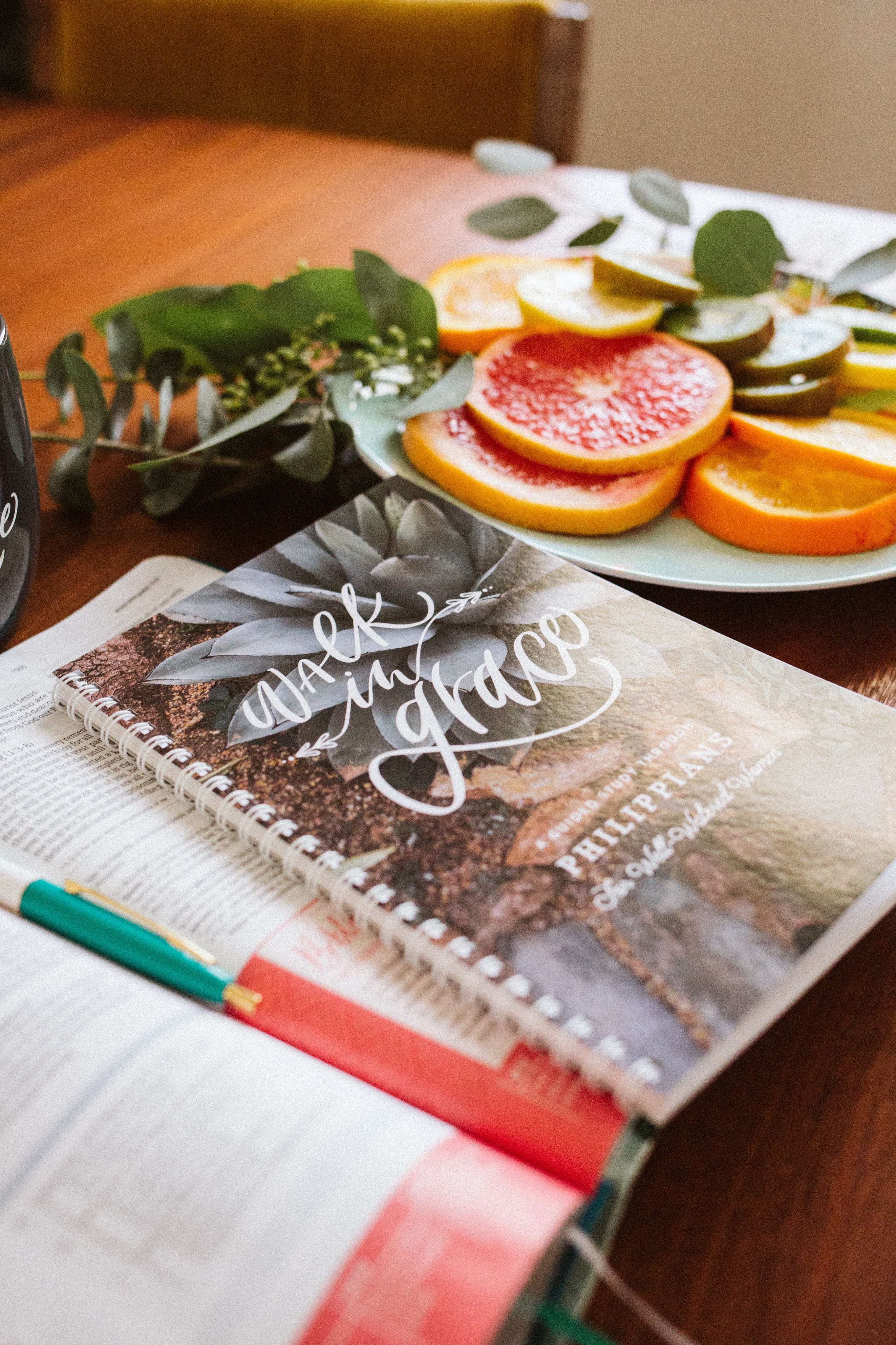 Walk in Grace Journal by Well-Watered Women: Study the book of Philippians with this guided journal!