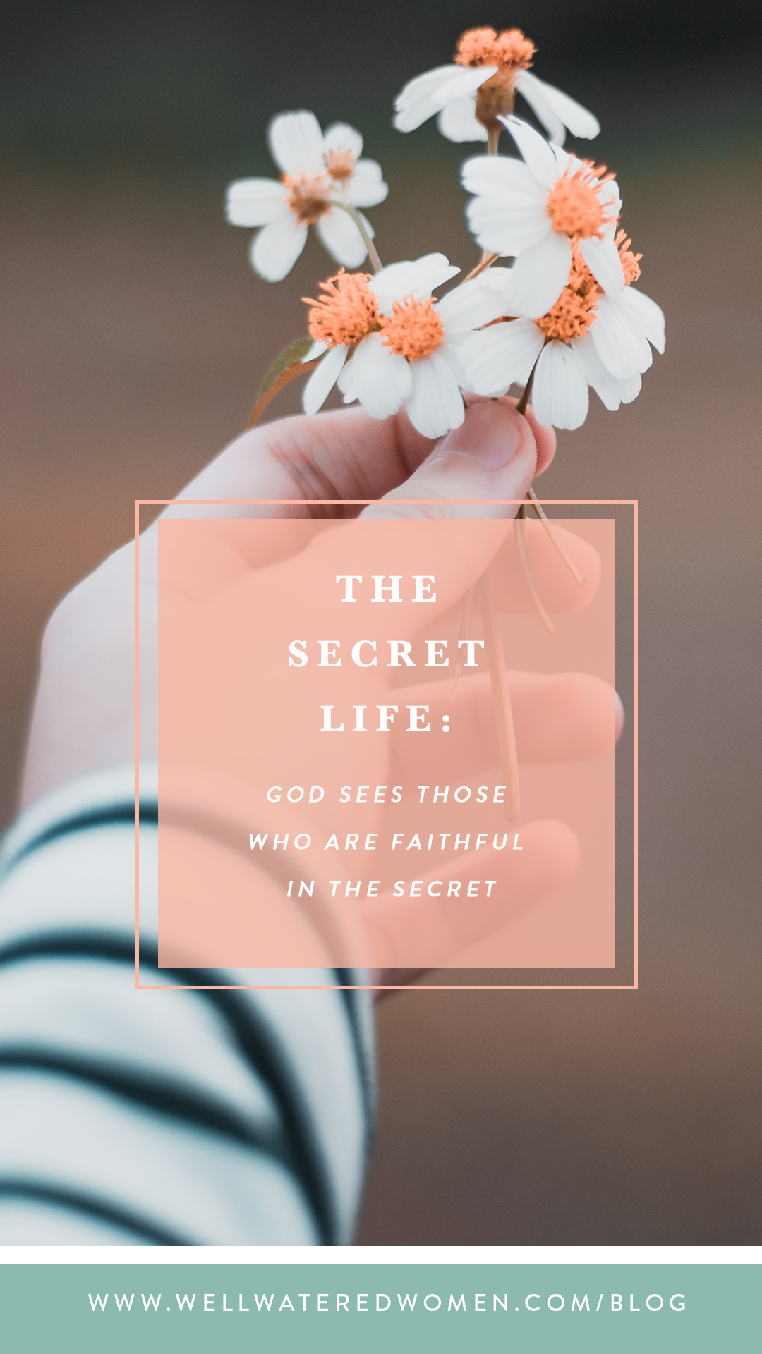 The Secret Life: God SEES those who are faithful in the secret.