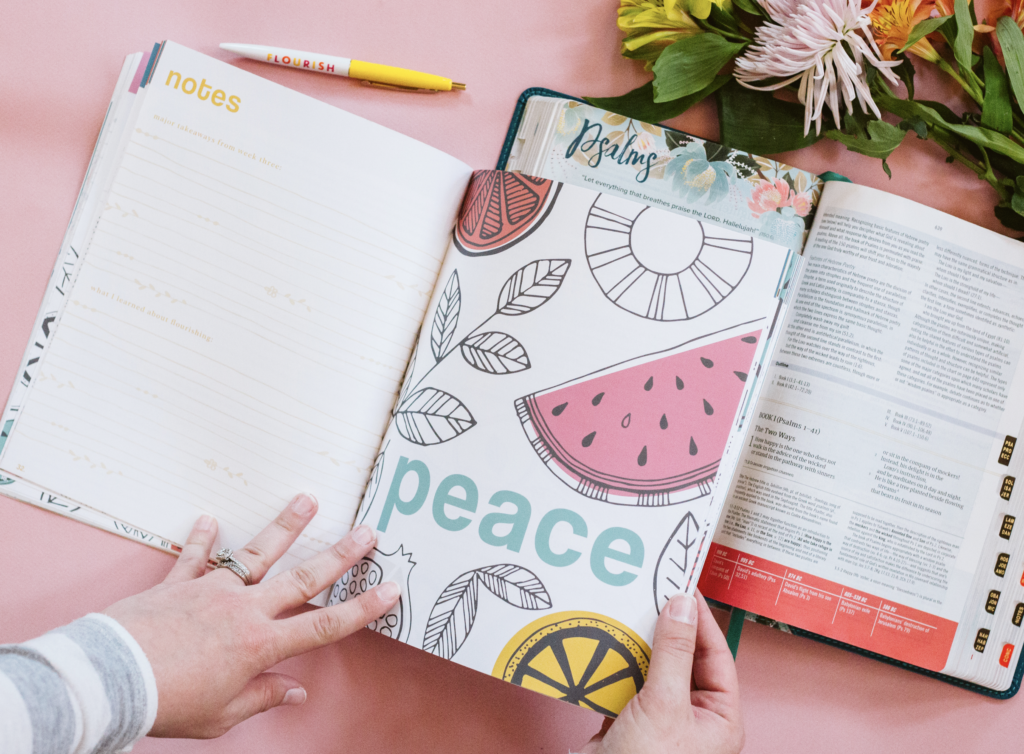 Screenshot 2019-02-18 20.08.56