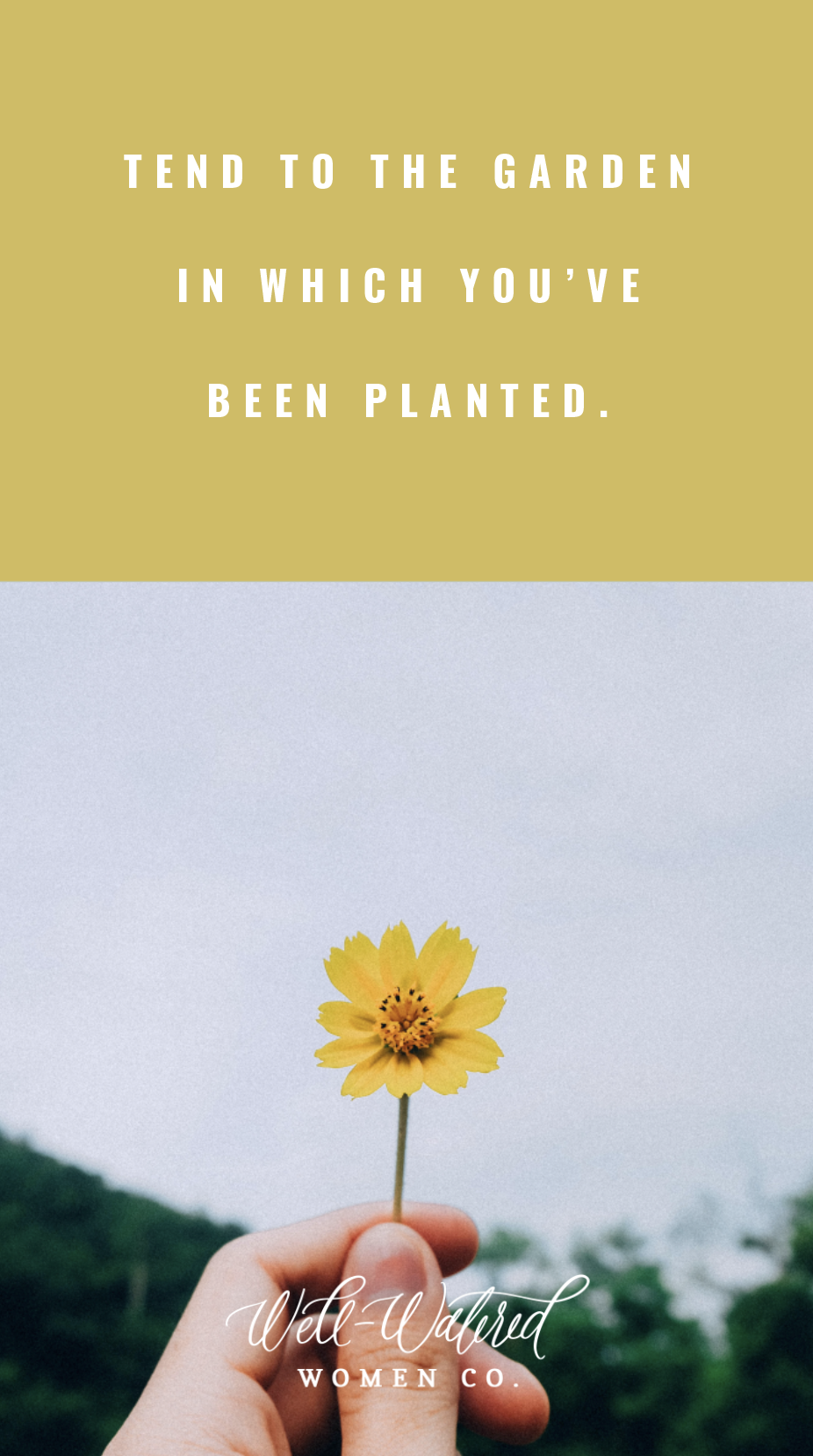 Well-Watered Women Blog-Making the Most of Marriage Without Kids-Tend to the Garden in which You've Been Planted Well-Watered Women Blog-Making the Most of Marriage Without Kids-Tend to the Garden in which You've Been Planted