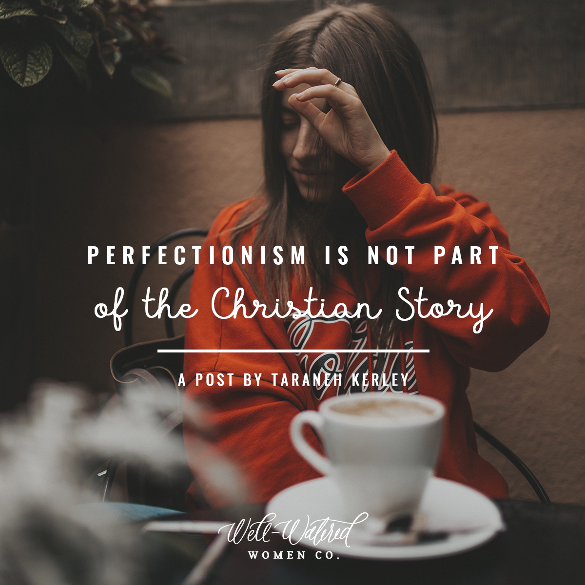 Well-Watered Women-Blog-Perfectionism is not part of the Christian story