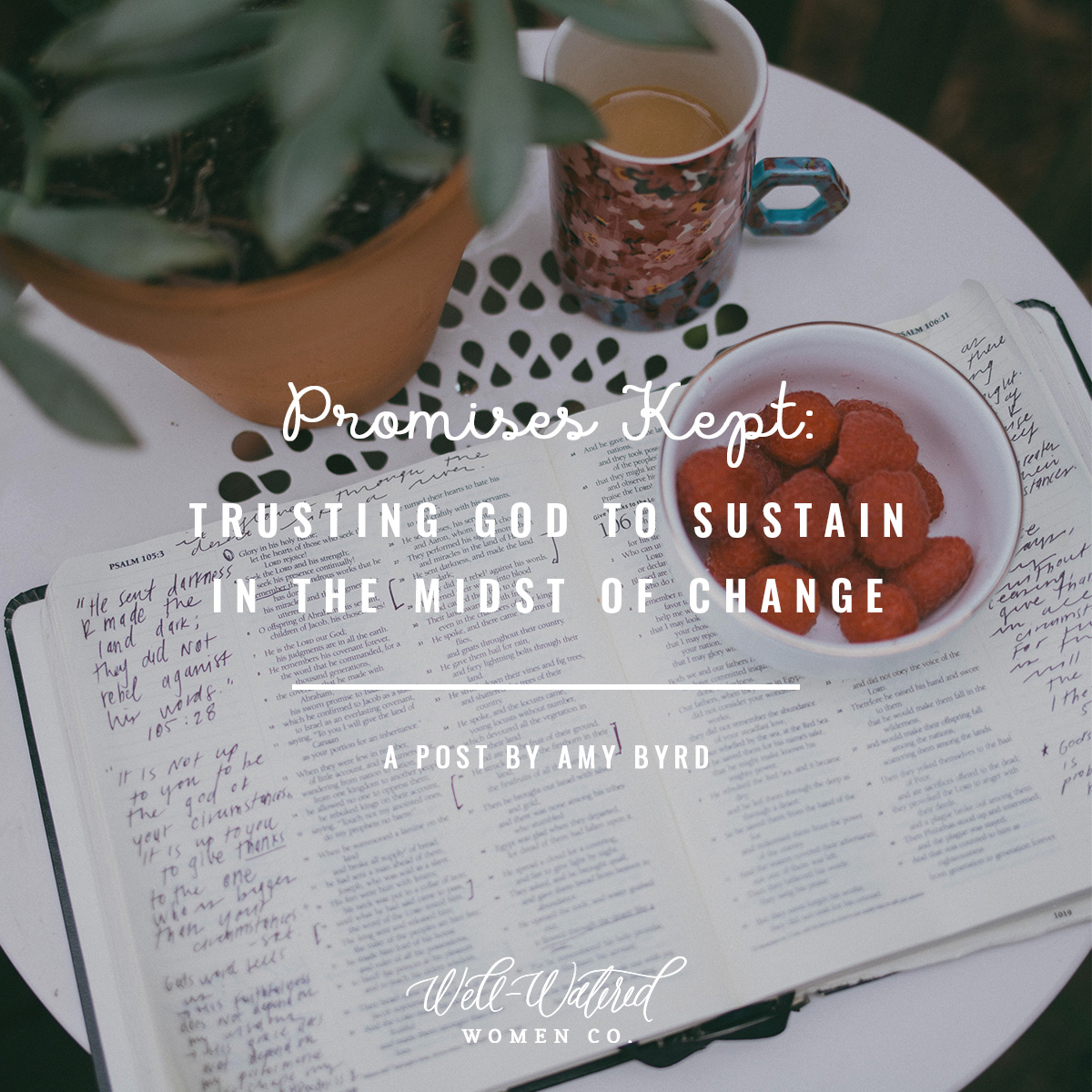 Well-Watered Women-Blog-Promises Kept-Trusting God to Sustain in the Midst of Change