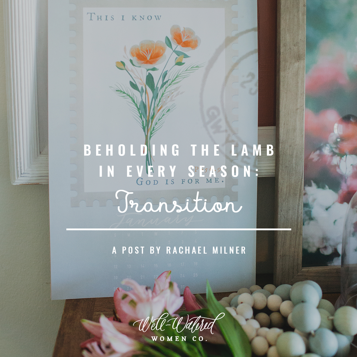 Well-Watered Women-Blog-Beholding the Lamb in Every Season-Transition