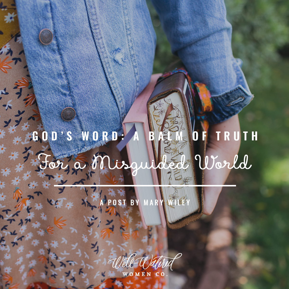 Well-Watered Women-Blog-God's Word-a Balm of Truth for a Misguided World