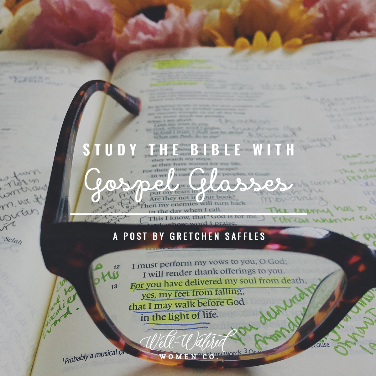 Well-Watered Women-Blog-Study the Bible with Gospel Glasses