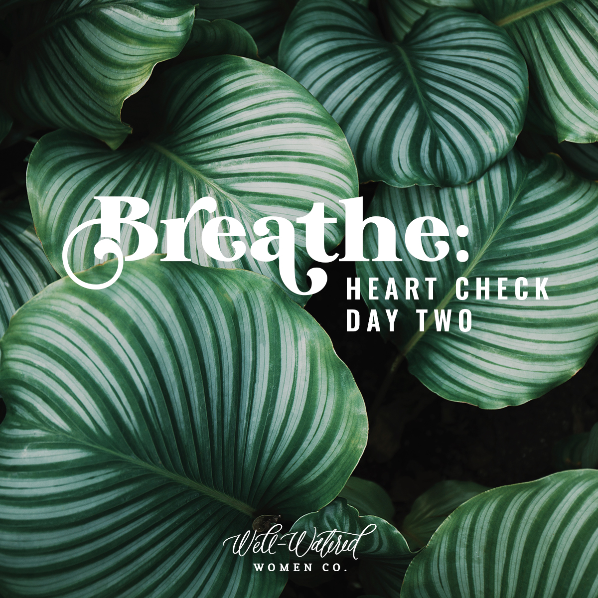 Well-Watered Women-Blog-Breathe-Heart Check, Day Two