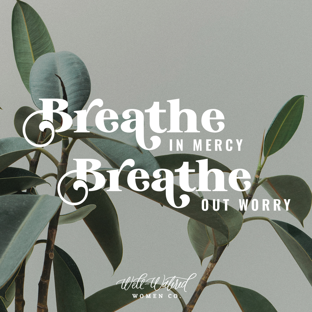 Well-Watered Women-Blog-Breathe in Mercy Breathe Out Worry