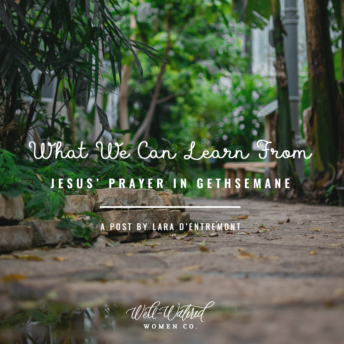 Well-Watered Women Blog-What We Can Learn From Jesus' Prayer in Gethsemane