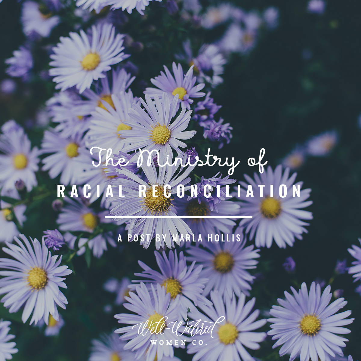 Well-Watered Women Blog-The Ministry of Racial Reconciliation