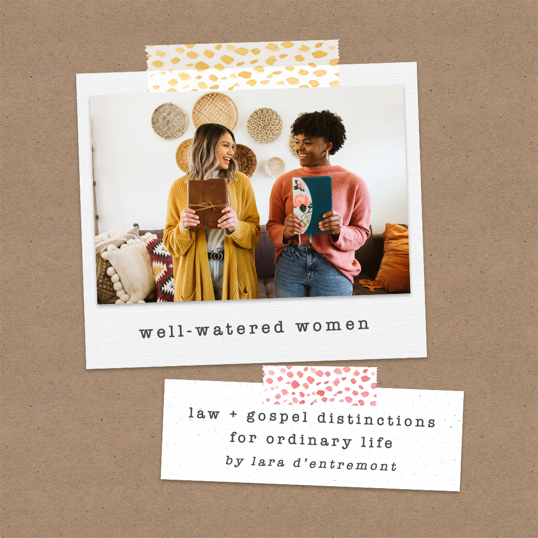 Well-Watered Women Blog-The Law and Gospel in Ordinary Life