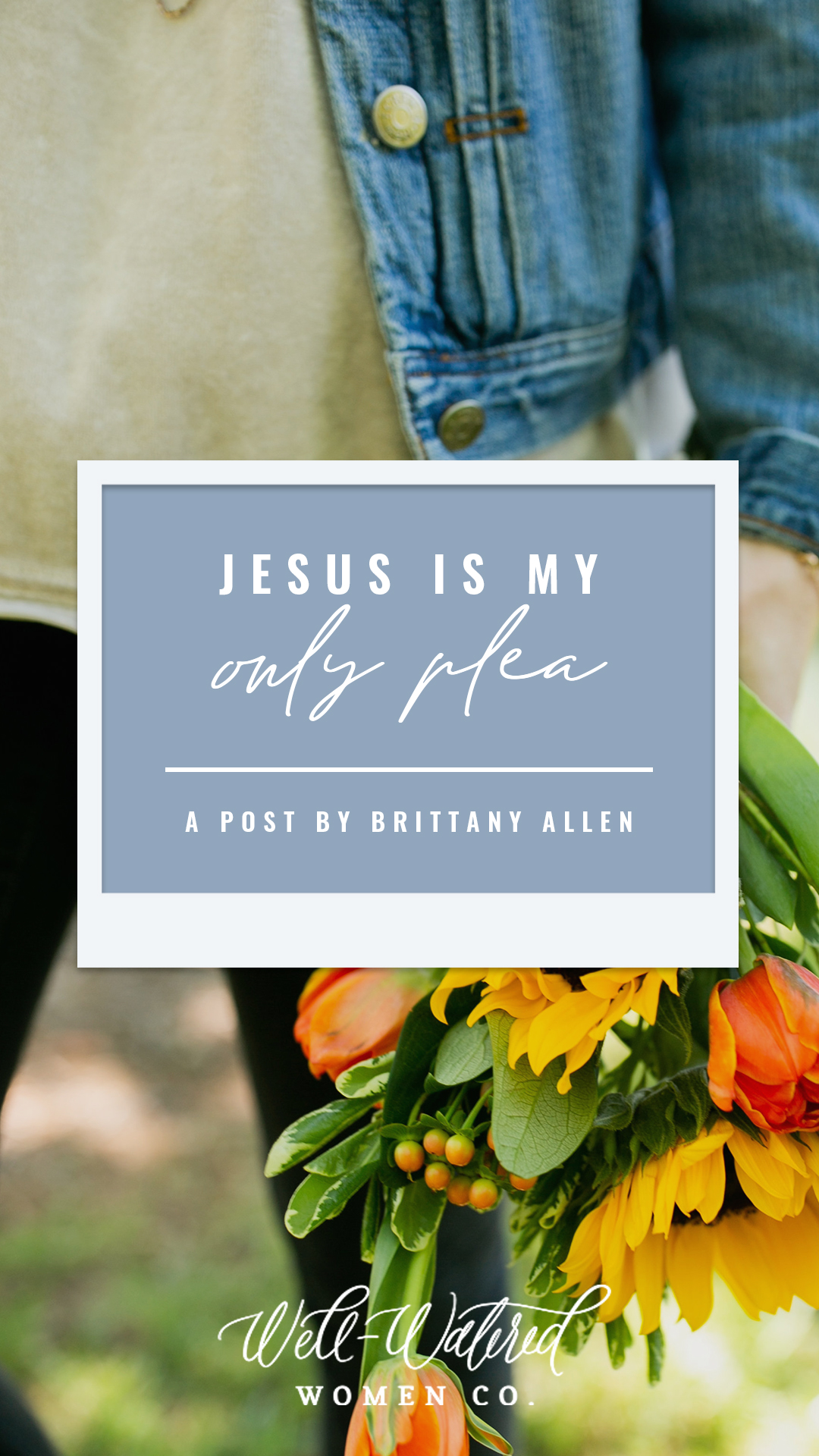 Well-Watered Women Blog - Jesus Is My Only Plea - a post by Brittany Allen
