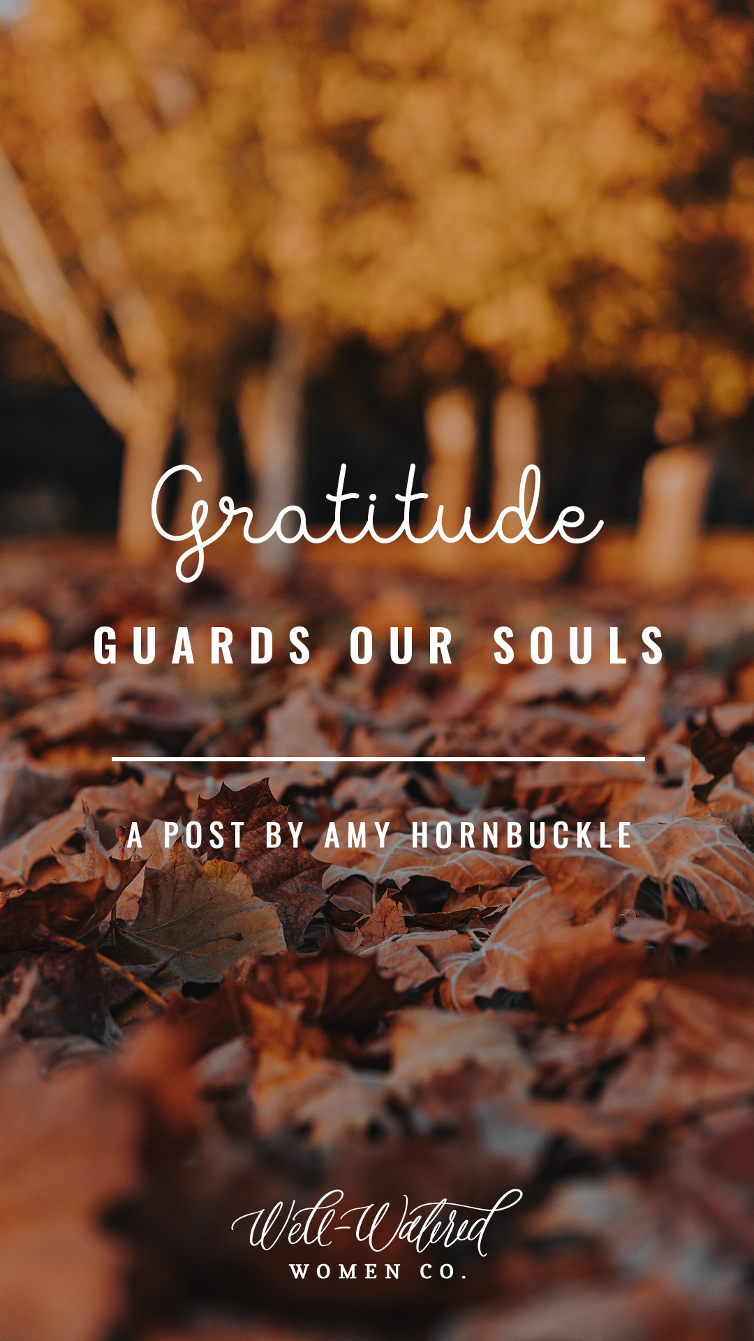 Well-Watered Women Blog - Gratitude Guards Our Souls