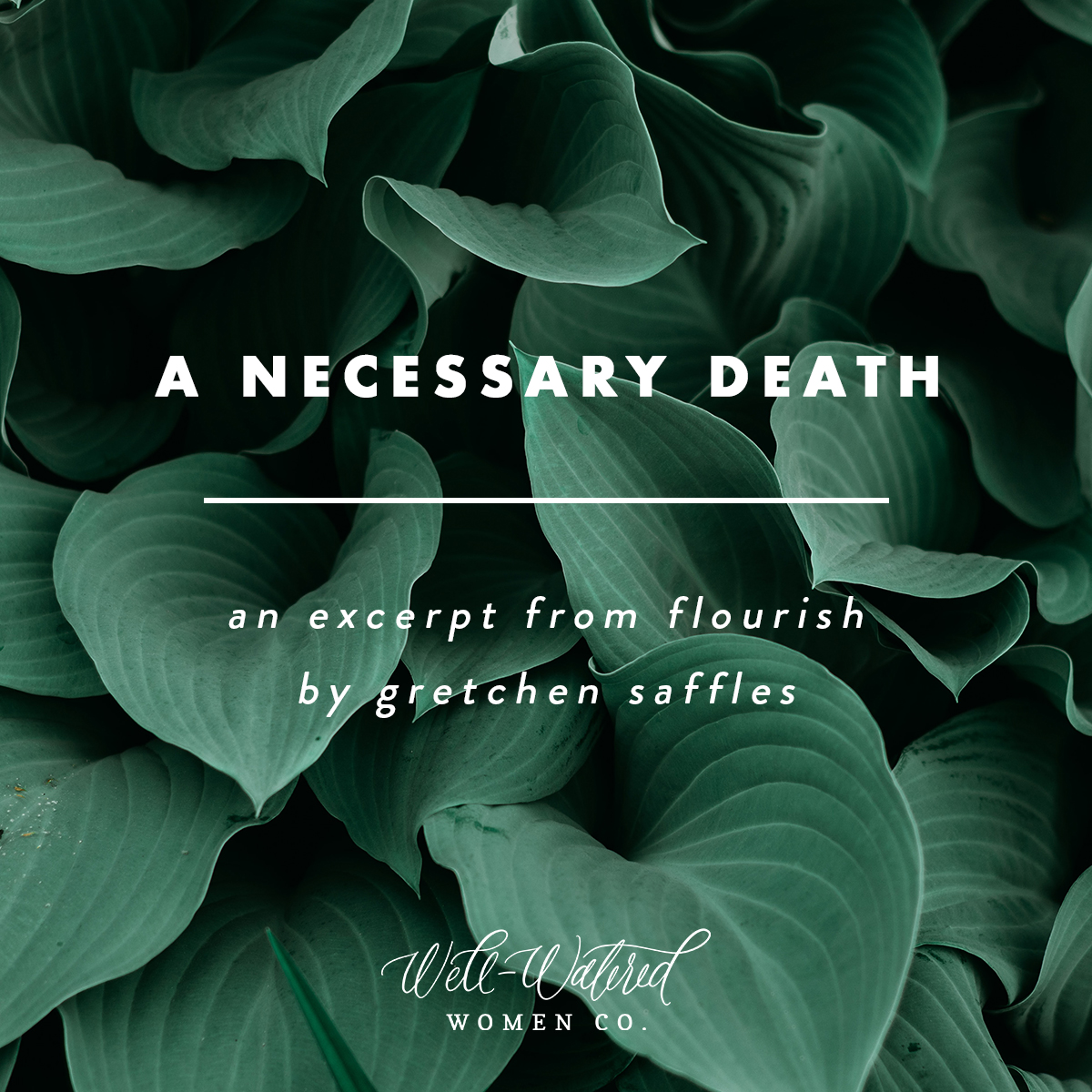 A Necessary Death, an Excerpt from Flourish | Well-Watered Women Blog