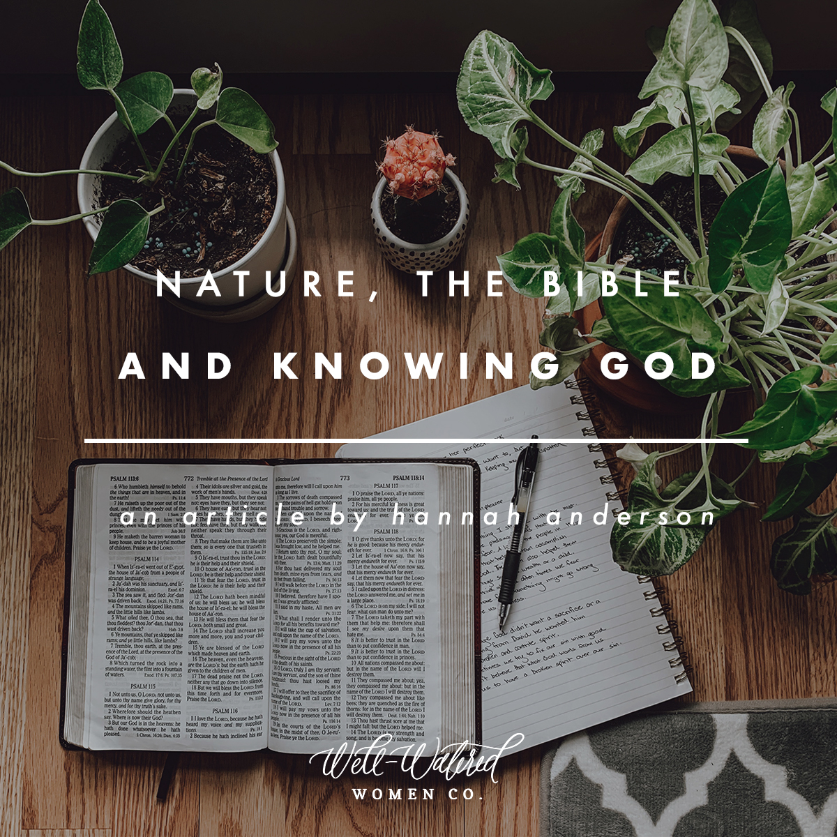 Nature, the Bible, and Knowing God | Well-Watered Women Articles