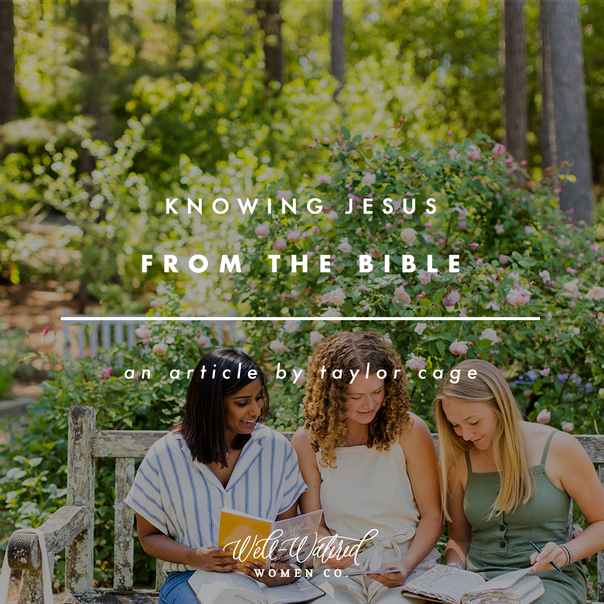 Knowing Jesus From the Bible | Well-Watered Women Articles