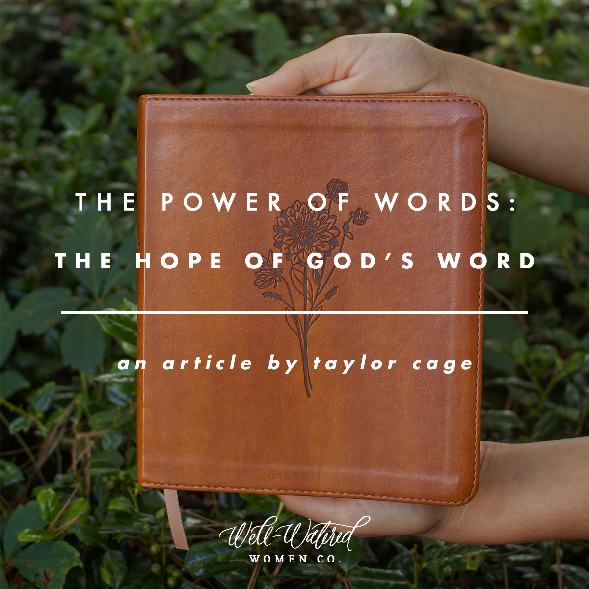 The Hope of God's Word | Well-Watered Women Articles