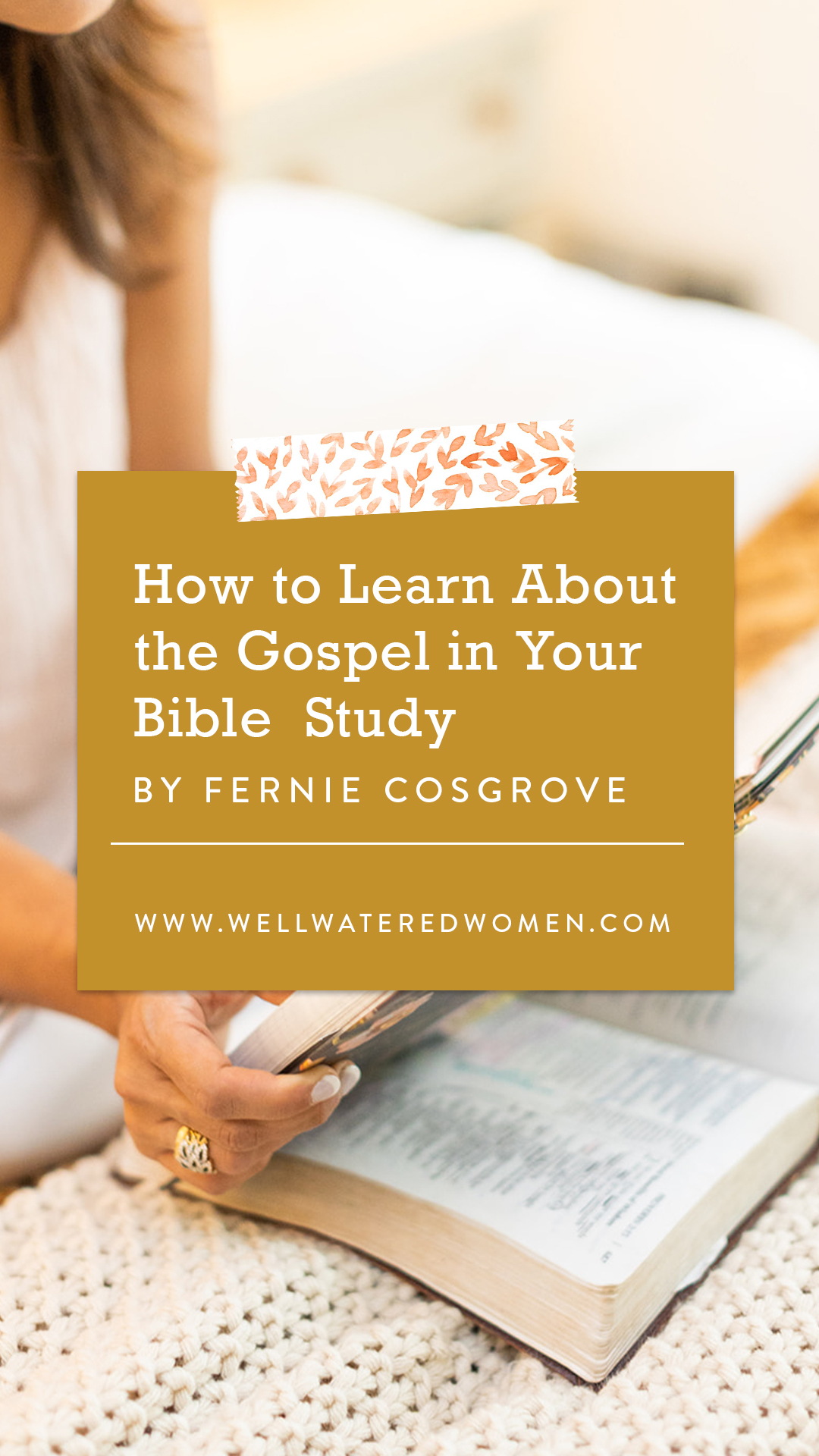 How to Learn About the Gospel in Your Bible Study – an Article by Well-Watered Women