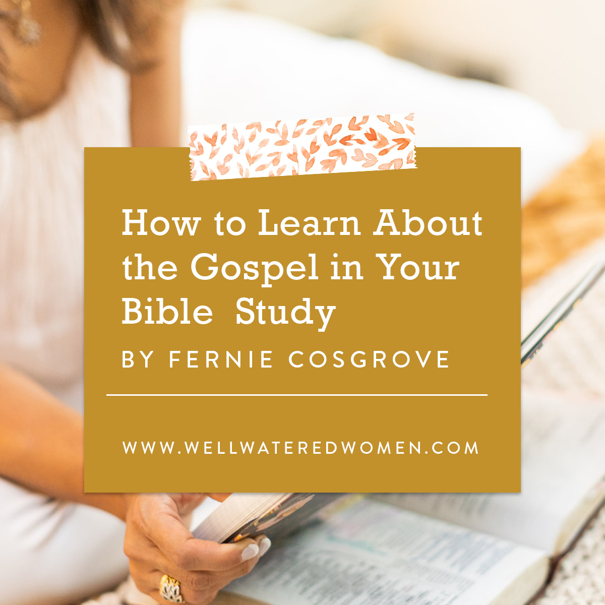 How to Learn About the Gospel in Your Bible Study–an Article by Well-Watered Women