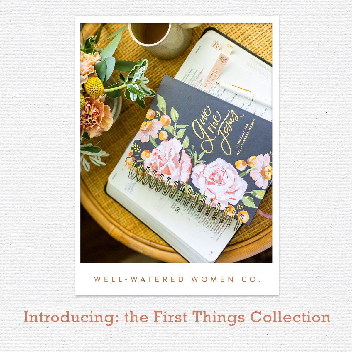 Introducing the First Things Collection - an Article from Well-Watered Women
