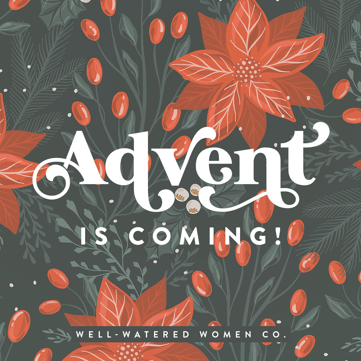 Advent-Is-Coming-GIF