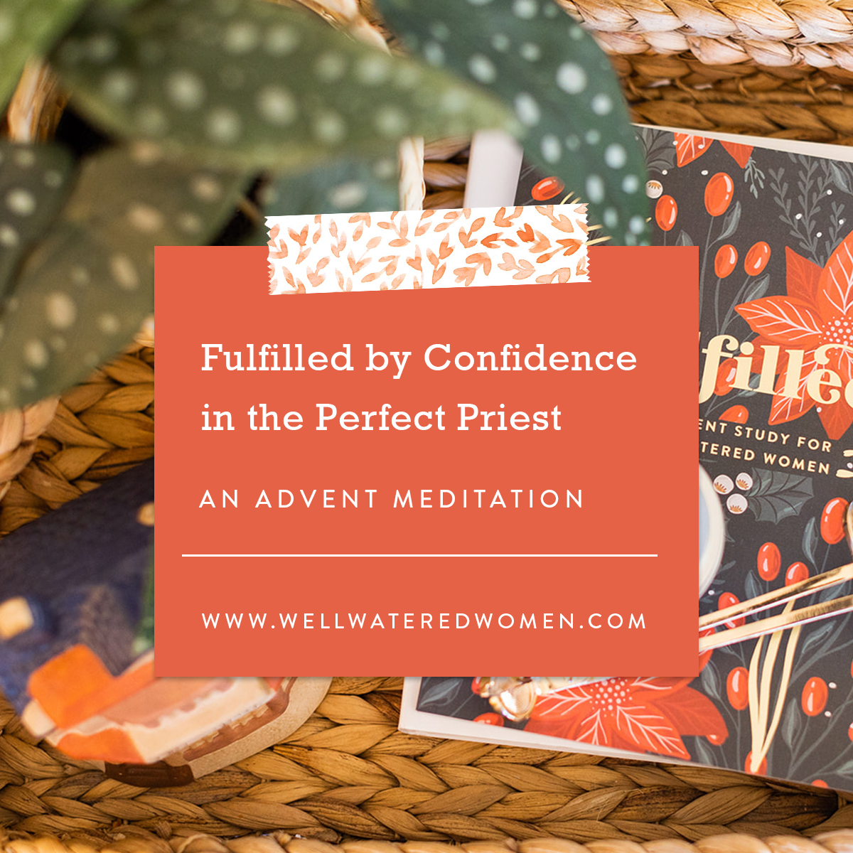 Fulfilled by Confidence in the Perfect Priest, an Advent Meditation from Well-Watered Women