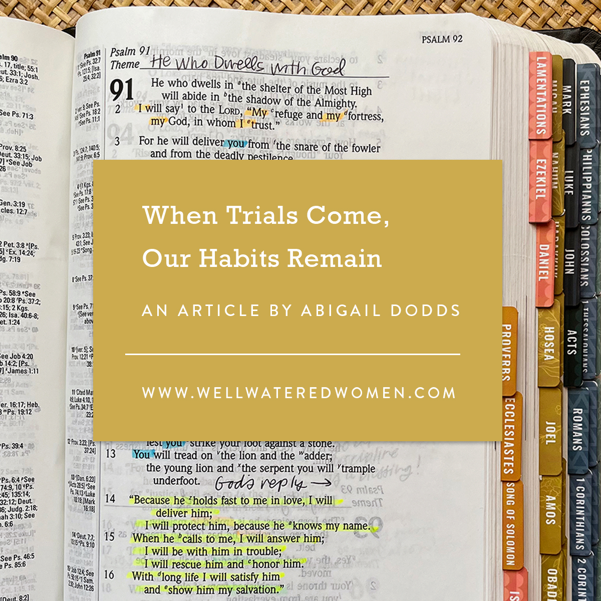 When Trials Come, Our Habits Remain - an Article from Well-Watered Women