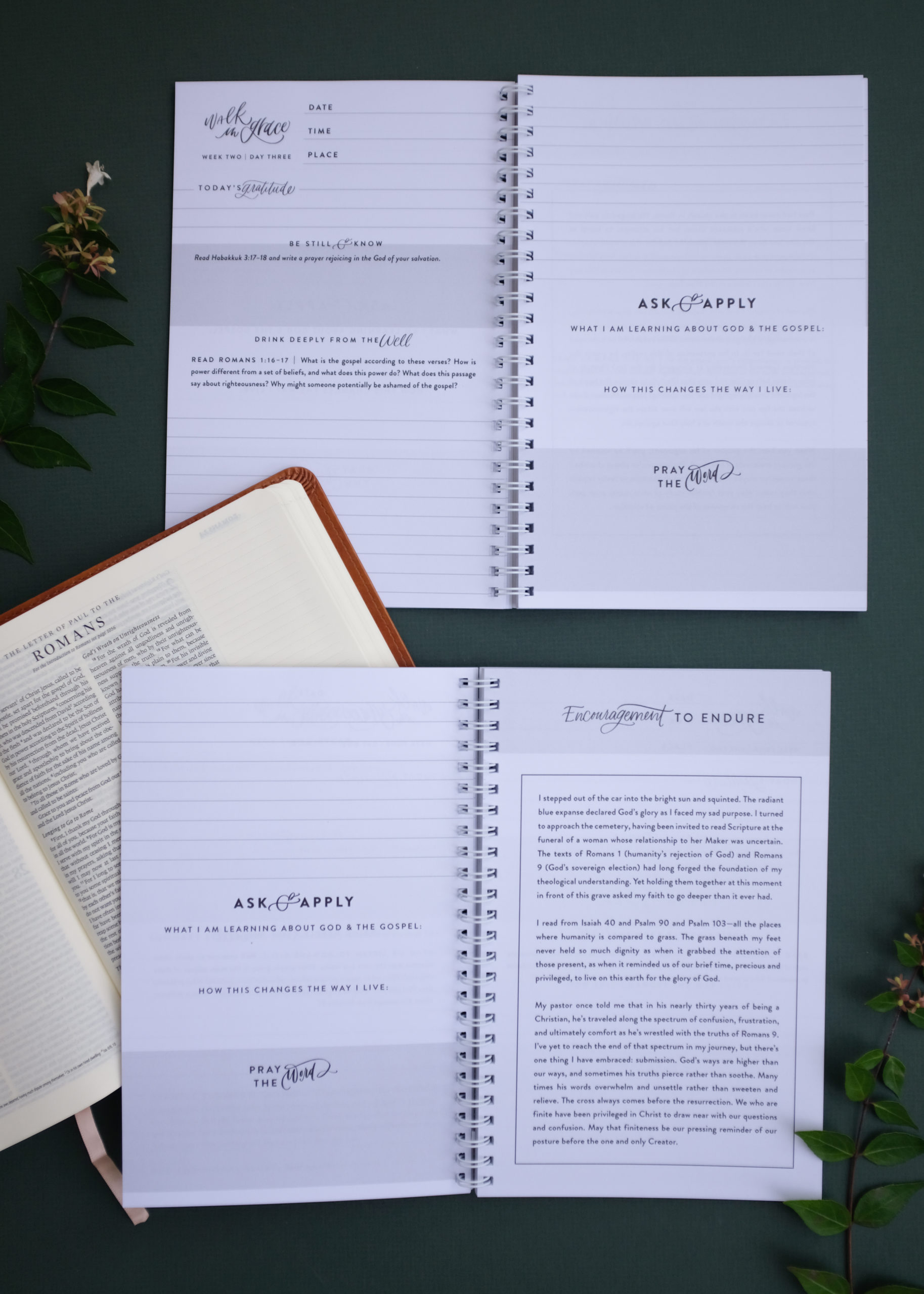 Romans Walk in Grace--10