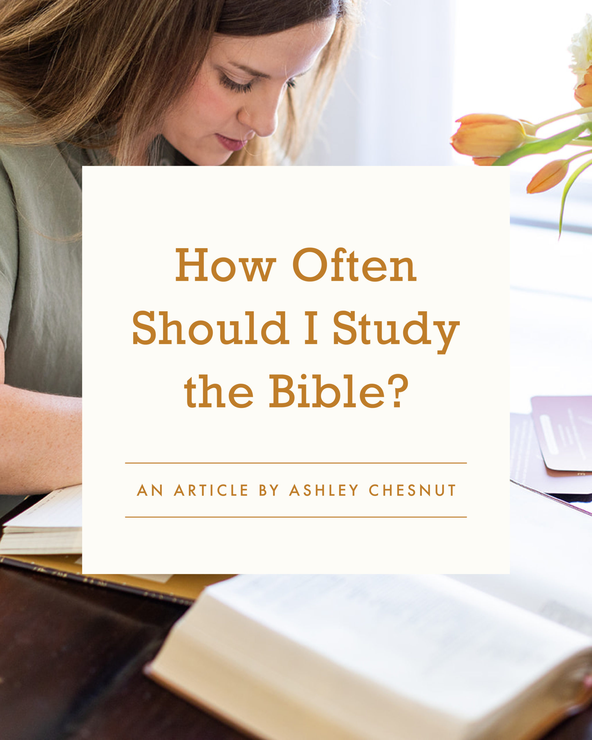 How Often Should I Study the Bible? - an article by Well-Watered Women
