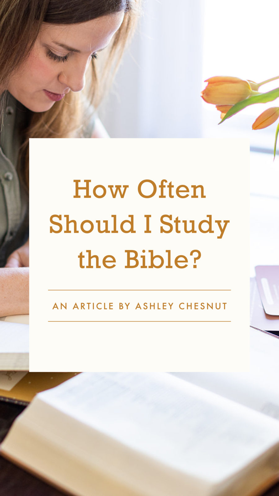 How Often Should I Study the Bible? – Well-Watered Women