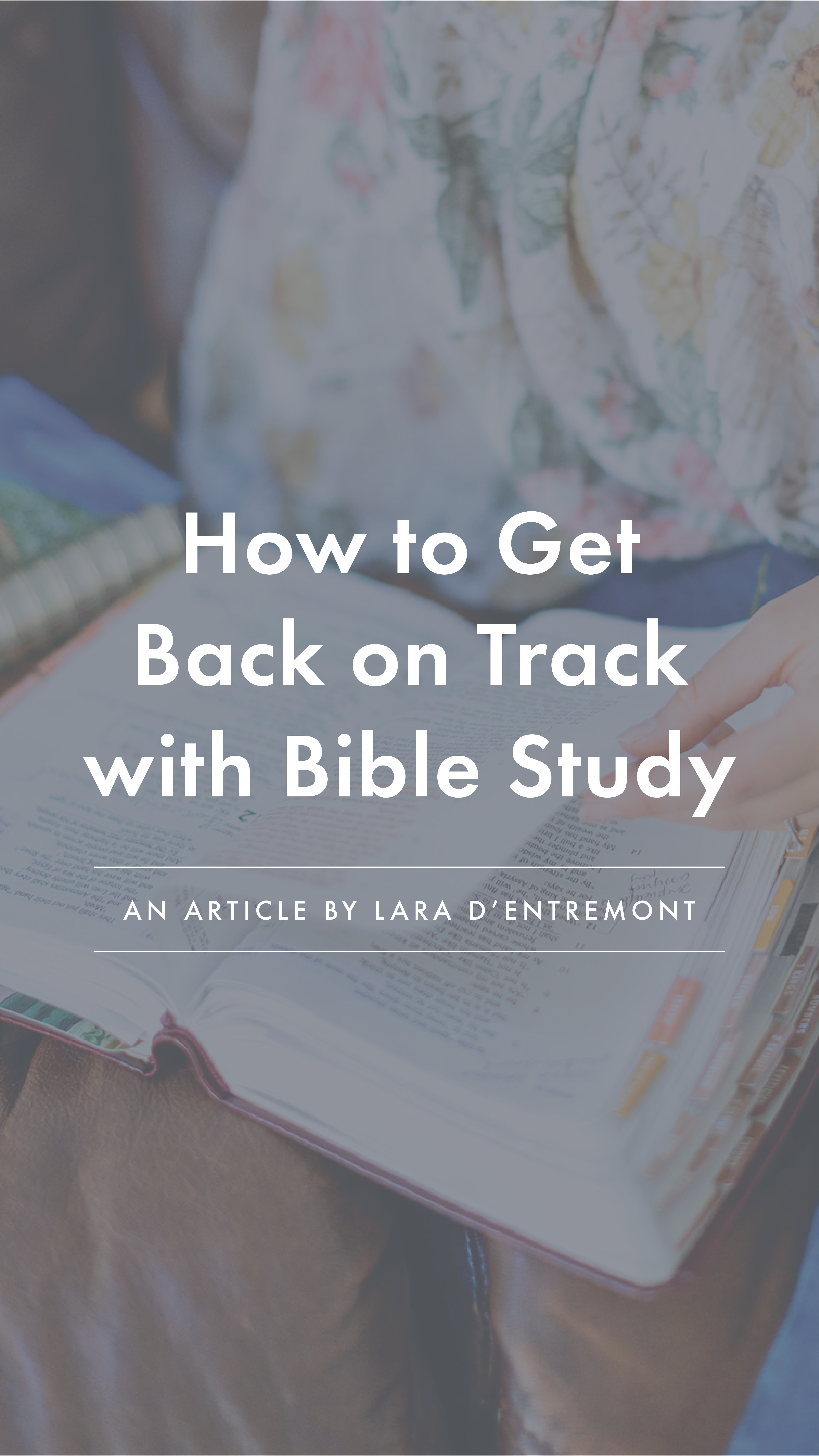 How to Get Back on Track with Bible Study - an article by Well-Watered Women - story