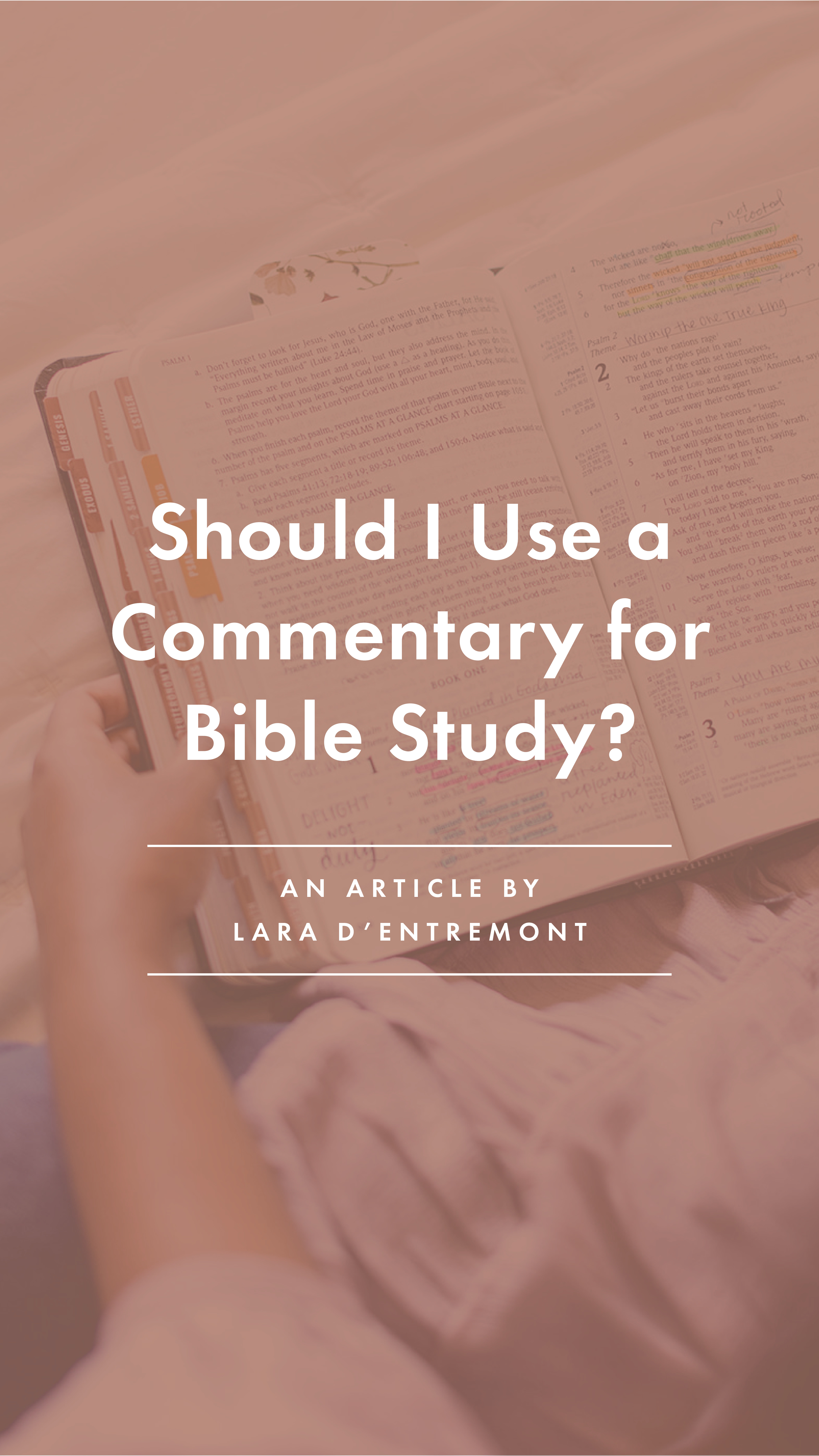 Should I Use a Commentary - an article by Lara d'Entremont - story