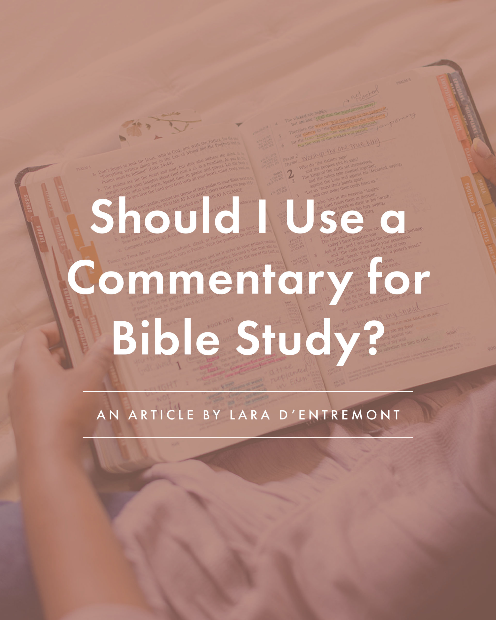 Should I Use a Commentary for Bible Study - an article by Well-Watered Women
