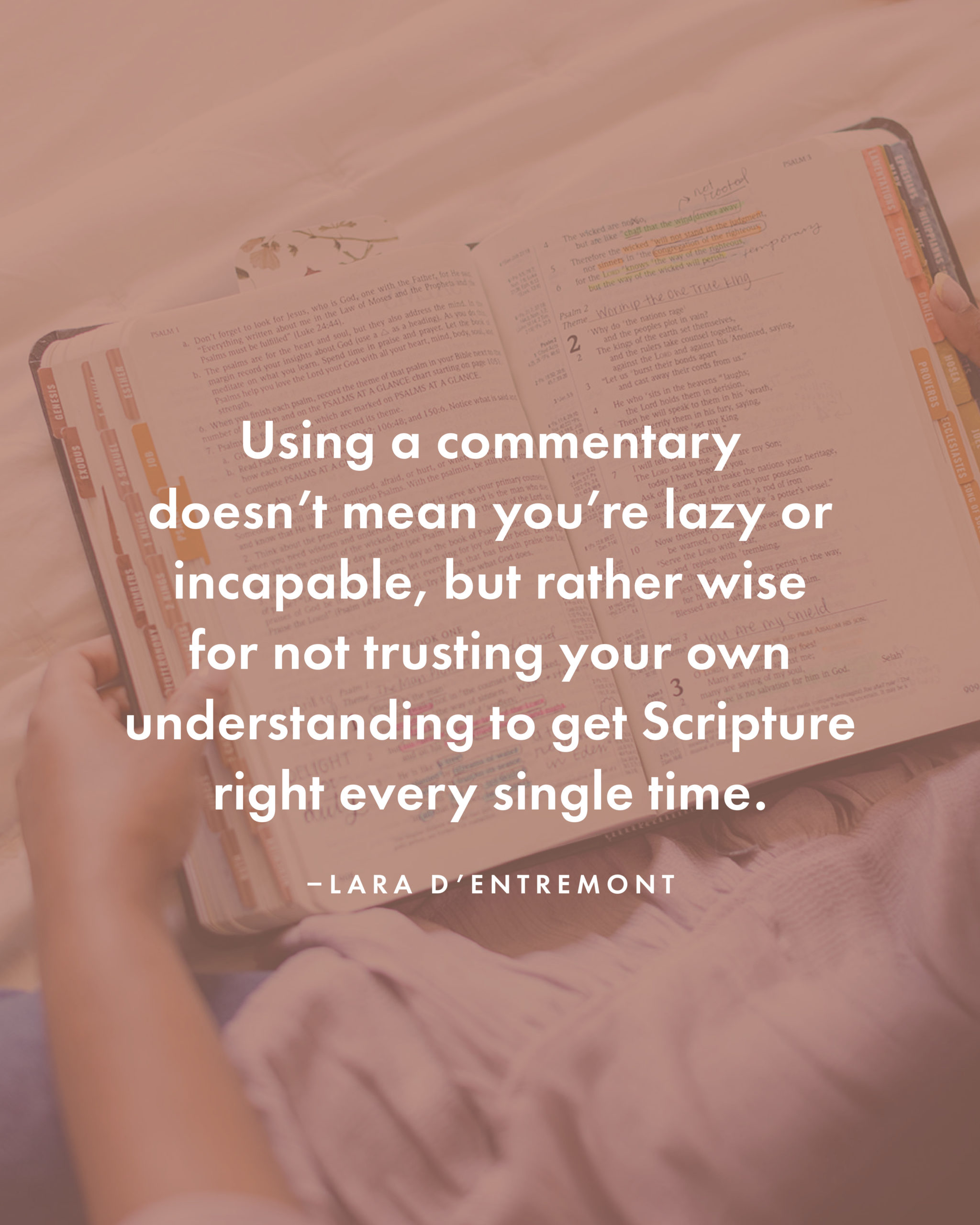 Should I Use a Commentary for Bible Study - quote