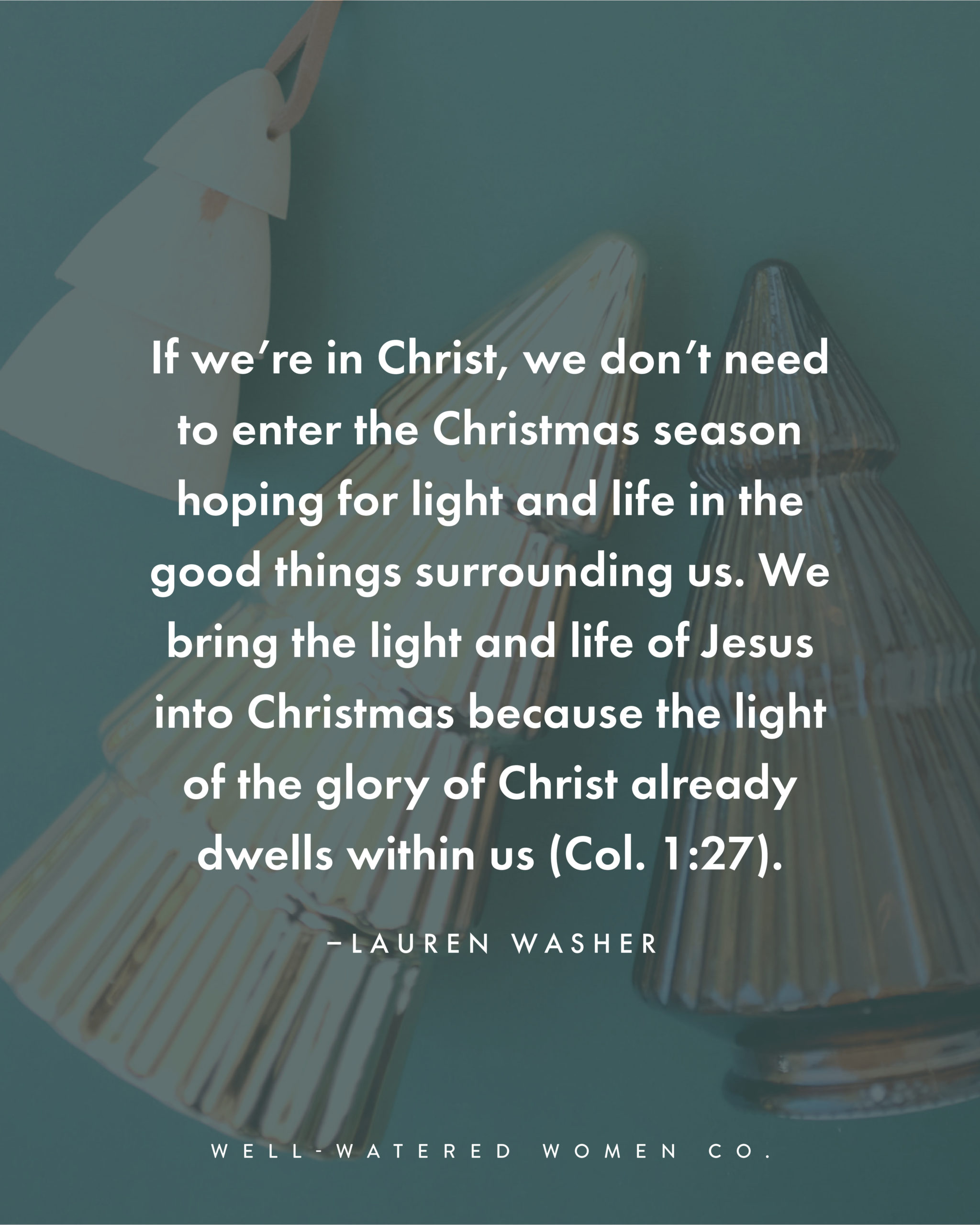 Hope in the True Light and Life of Christmas - an article from Well-Watered Women - quote