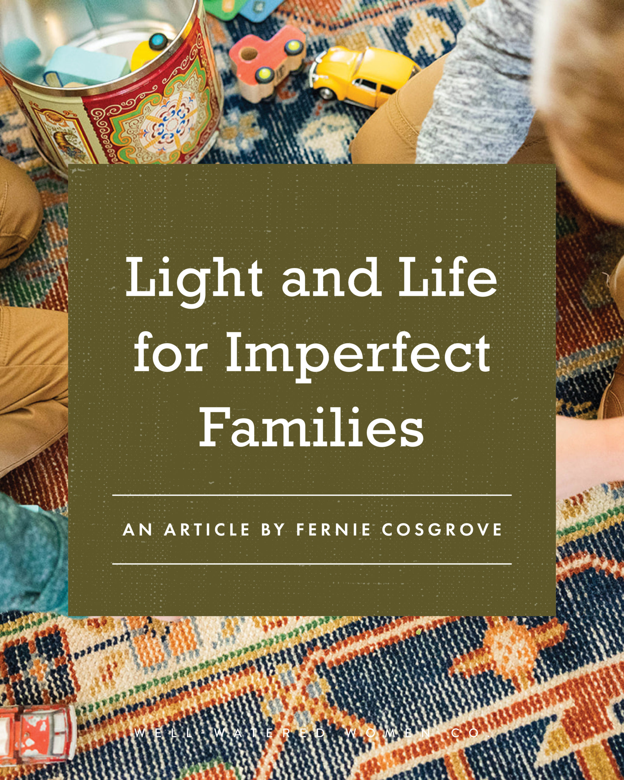 Light and Life for Imperfect Families - an article by Well-Watered Women