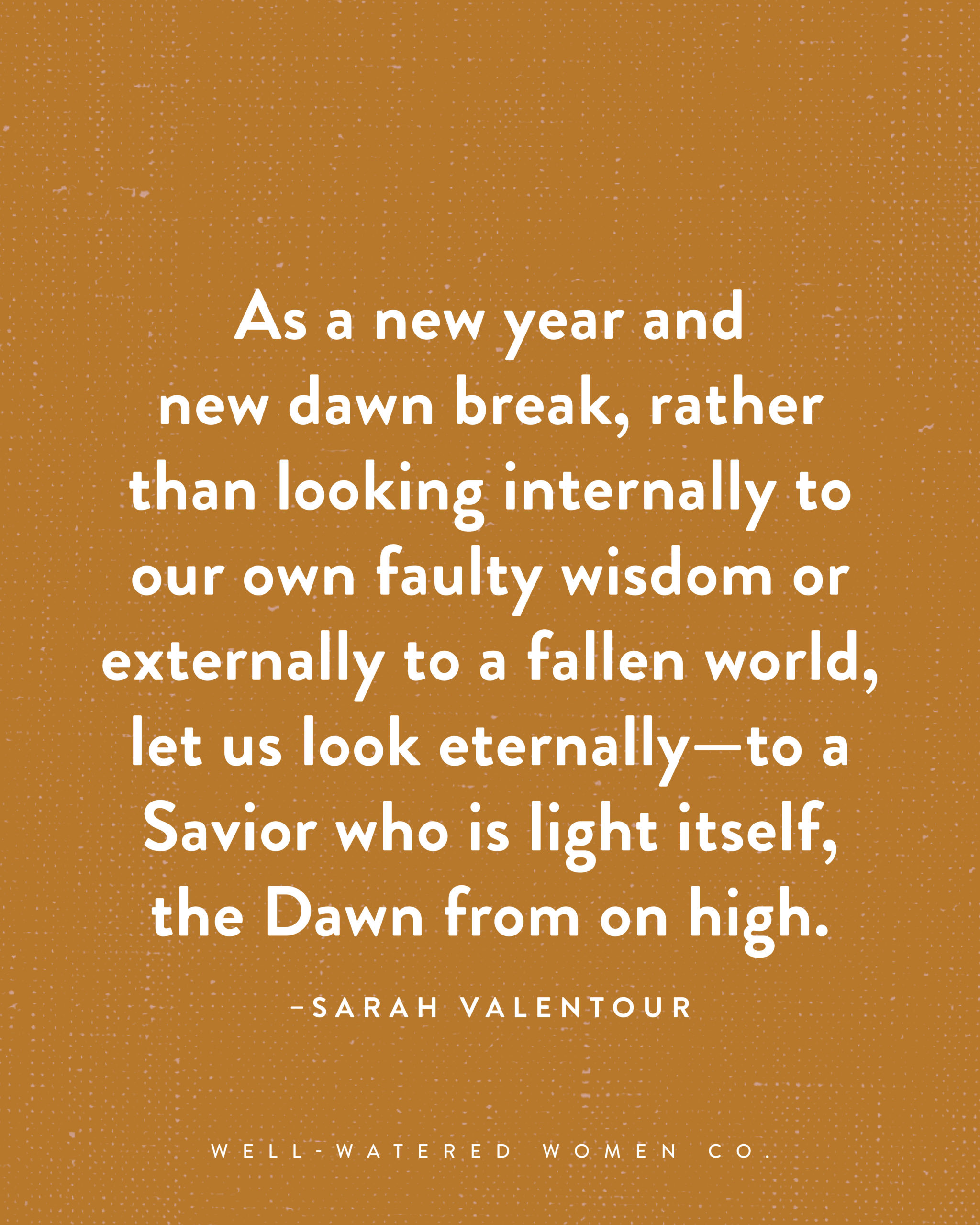 Light and Life for the Year to Come - an article by Well-Watered Women - quote