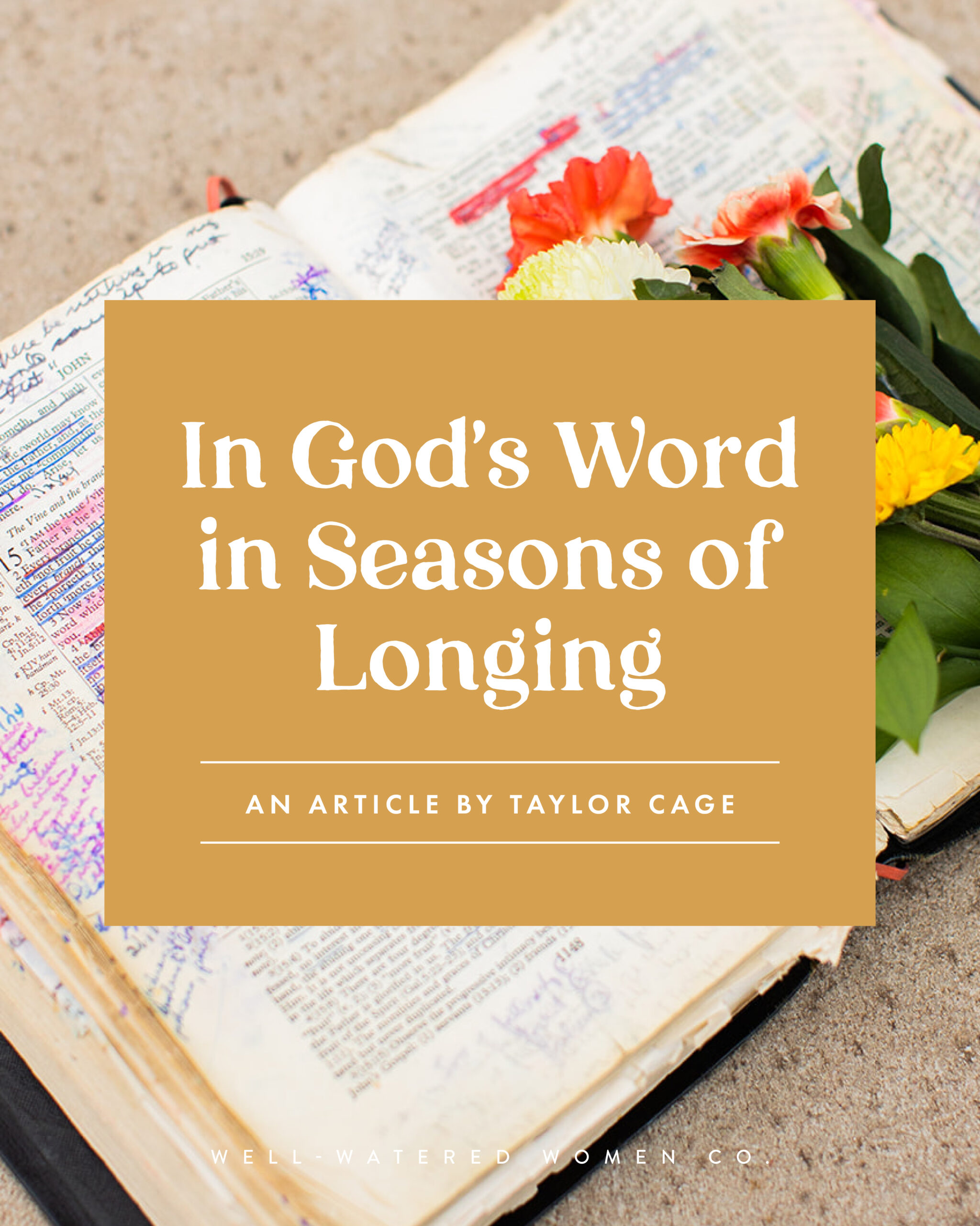In God's Word in Seasons of Longing - an article from Well-Watered Women