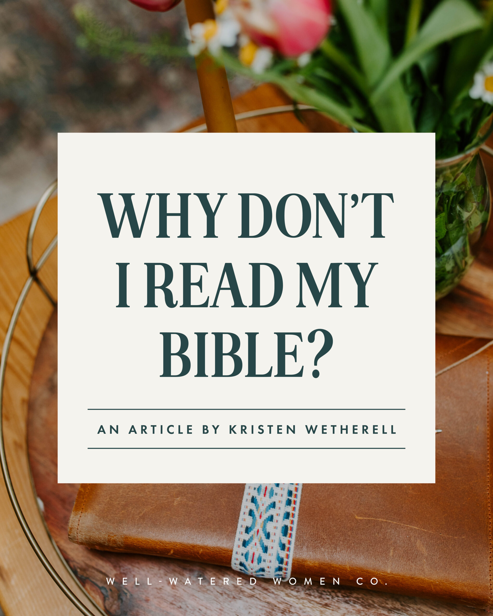 Why Don't I Read My Bible? - an article from Well-Watered Women