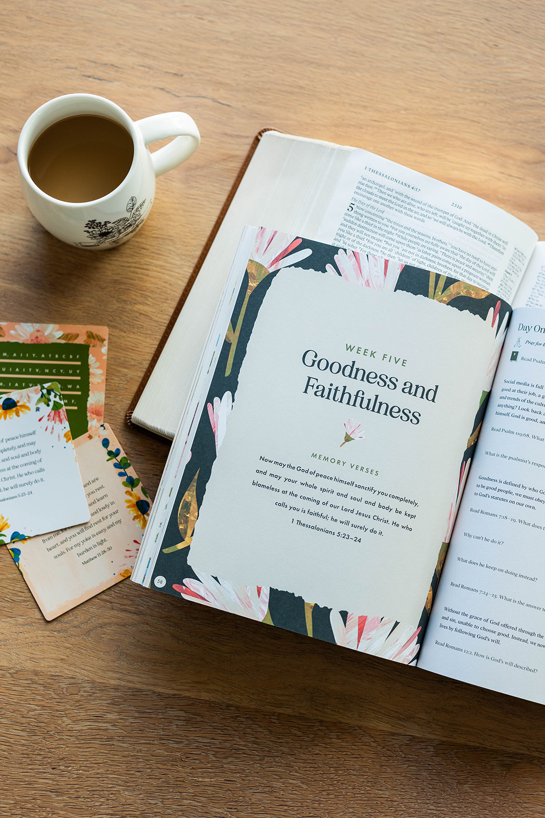 Well Watered Women 2023