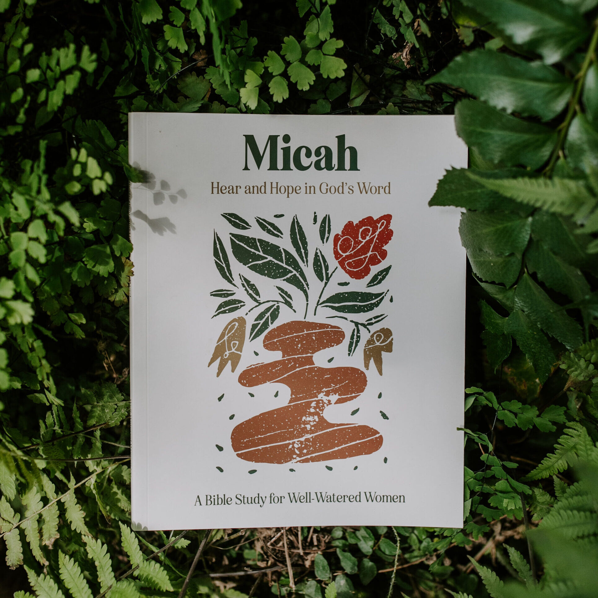 Introducing Micah Hear and Hope in God's Word WellWatered Women