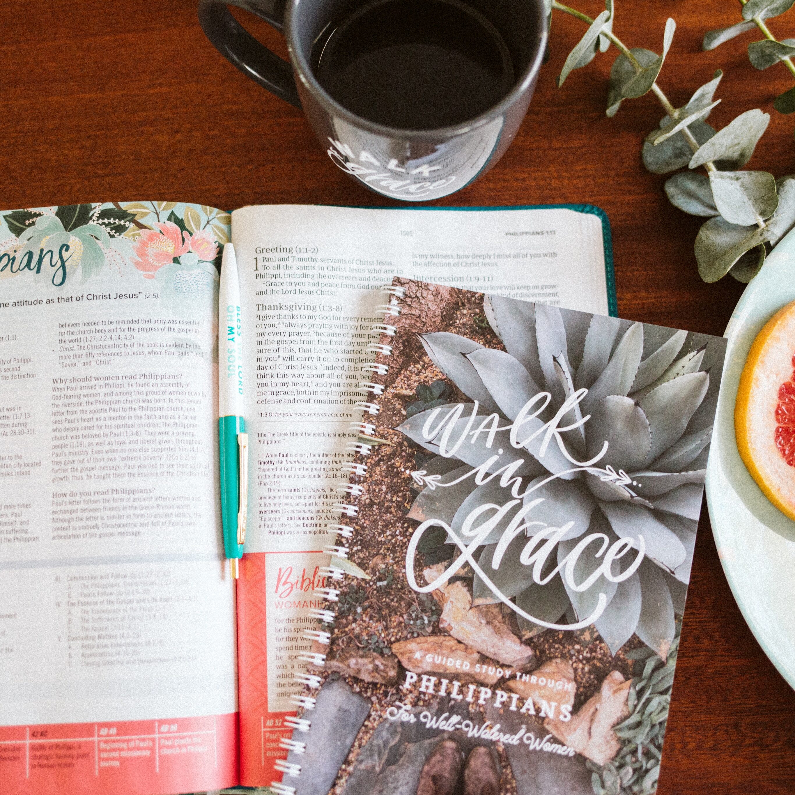 Read and study the entire book of Philippians in this six-week study, five days a week. You’ll read the book in its entirety, dig into the context and purpose of the letter, then break apart every verse for further study!